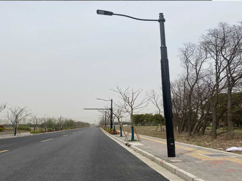 苏仙区上海综合杆 太阳能路灯工程